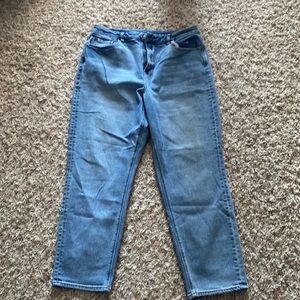 American Eagle Curvy Mom Jean